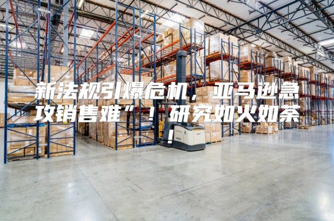 新法规引爆危机，亚马逊急攻销售难”！研究如火如荼！