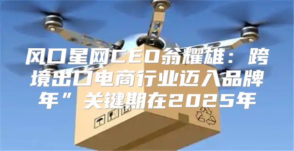 风口星网CEO翁耀雄：跨境出口电商行业迈入品牌年”关键期在2025年