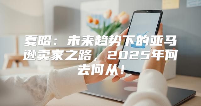 夏昭：未来趋势下的亚马逊卖家之路，2025年何去何从！