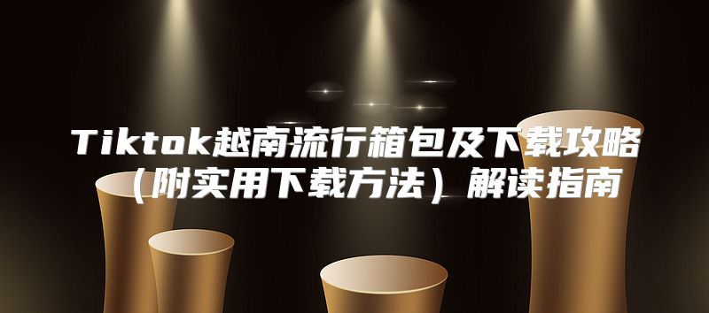 Tiktok越南流行箱包及下载攻略附实用下载方法解读指南