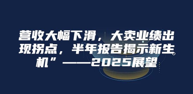 营收大幅下滑，大卖业绩出现拐点，半年报告揭示新生机”——2025展望