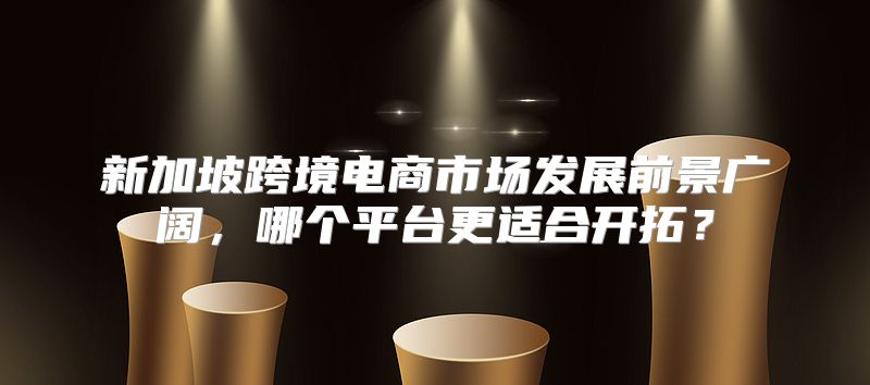 新加坡跨境电商市场发展前景广阔，哪个平台更适合开拓？