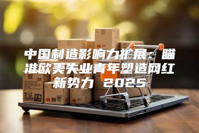 中国制造影响力扩展：瞄准欧美失业青年塑造网红新势力 2025