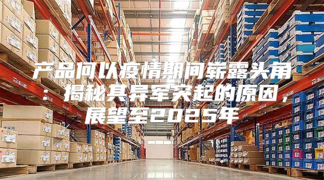 产品何以疫情期间崭露头角：揭秘其异军突起的原因，展望至2025年