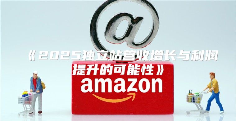 2025独立站营收增长与利润提升的可能性