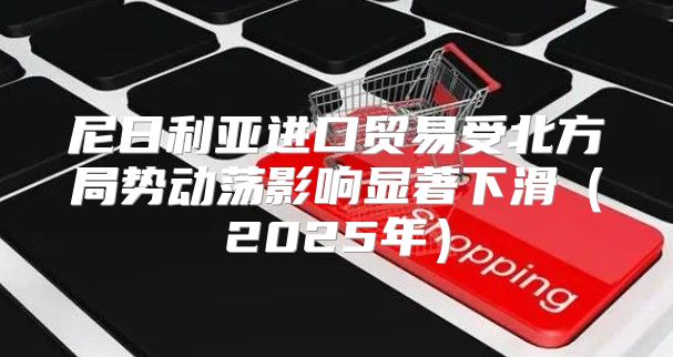 尼日利亚进口贸易受北方局势动荡影响显著下滑2025年