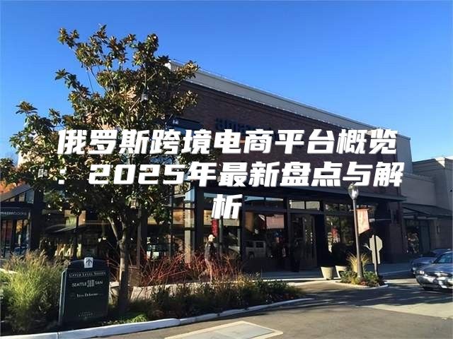 俄罗斯跨境电商平台概览：2025年最新盘点与解析