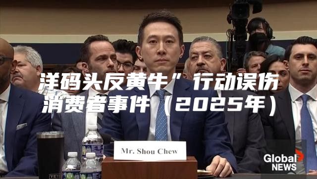 洋码头反黄牛”行动误伤消费者事件2025年