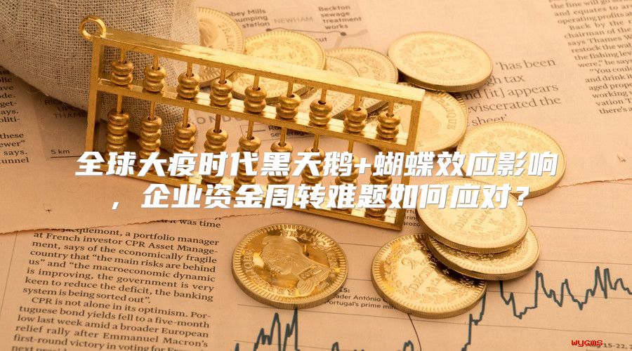 全球大疫时代黑天鹅+蝴蝶效应影响，企业资金周转难题如何应对？