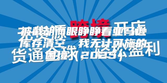 被截胡而眼睁睁看亚马逊库存清空，我无计可施的困境2025
