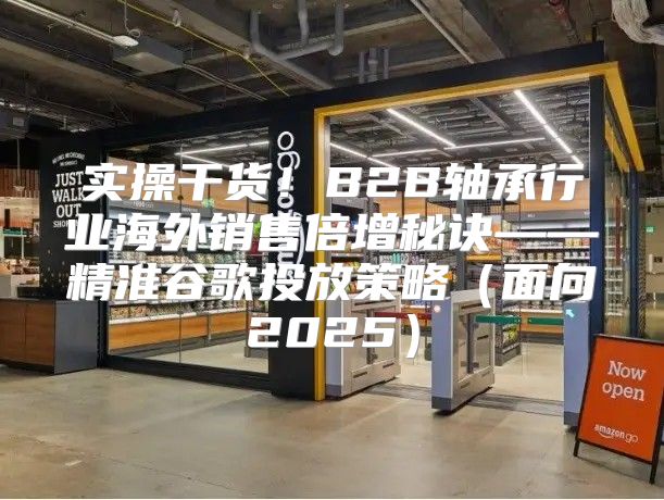 实操干货！B2B轴承行业海外销售倍增秘诀——精准谷歌投放策略面向2025