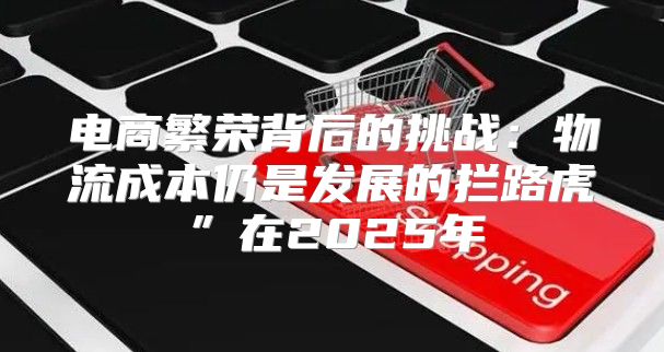 电商繁荣背后的挑战：物流成本仍是发展的拦路虎”在2025年