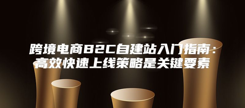 跨境电商B2C自建站入门指南：高效快速上线策略是关键要素