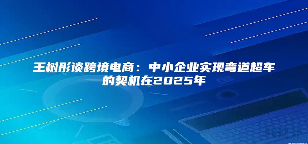 王树彤谈跨境电商：中小企业实现弯道超车的契机在2025年