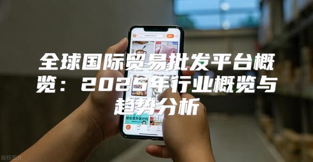 全球国际贸易批发平台概览：2025年行业概览与趋势分析