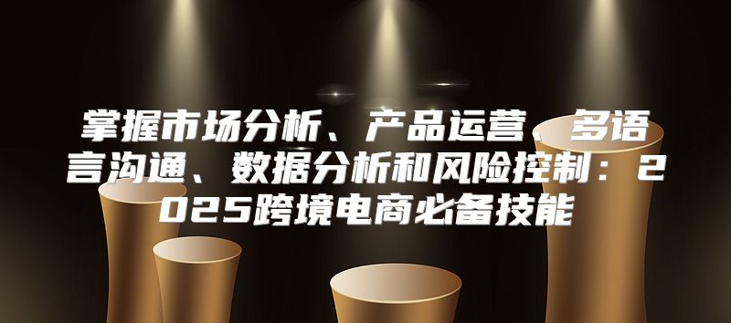 掌握市场分析、产品运营、多语言沟通、数据分析和风险控制：2025跨境电商必备技能