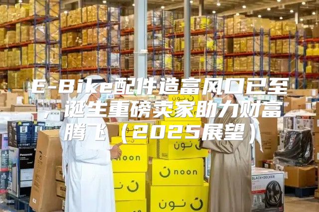 E-Bike配件造富风口已至，诞生重磅卖家助力财富腾飞2025展望