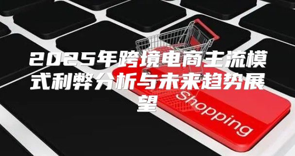 2025年跨境电商主流模式利弊分析与未来趋势展望