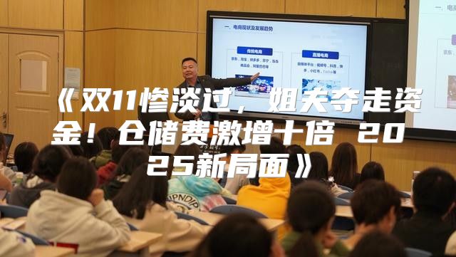 双11惨淡过，姐夫夺走资金！仓储费激增十倍2025新局面