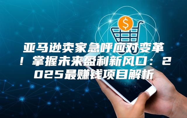 亚马逊卖家急呼应对变革！掌握未来盈利新风口：2025最赚钱项目解析