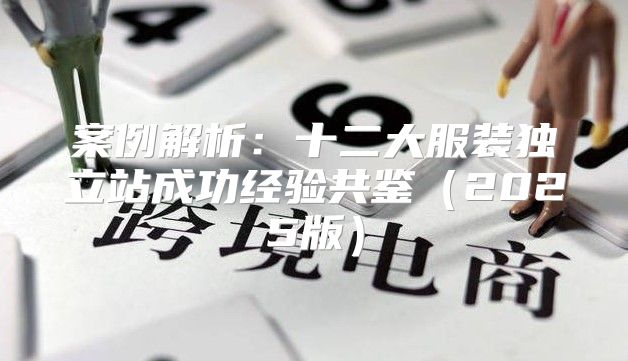 案例解析：十二大服装独立站成功经验共鉴2025版