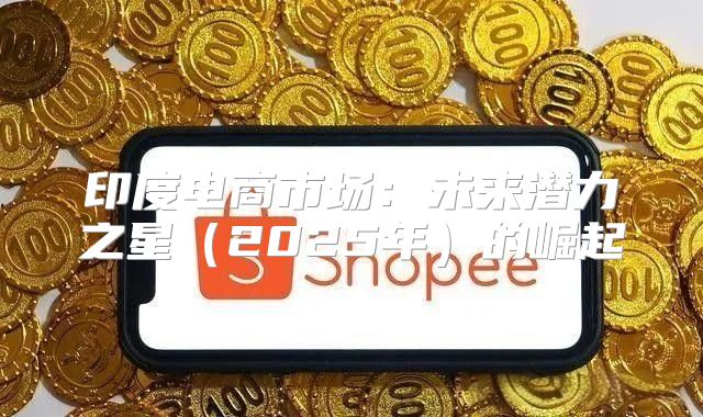 印度电商市场：未来潜力之星2025年的崛起