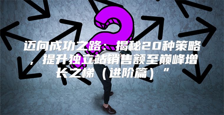 迈向成功之路：揭秘20种策略，提升独立站销售额至巅峰增长之梯进阶篇”