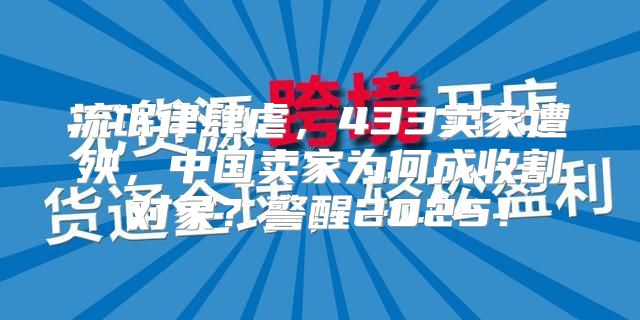 流氓律肆虐，433卖家遭殃，中国卖家为何成收割对象？警醒2025！