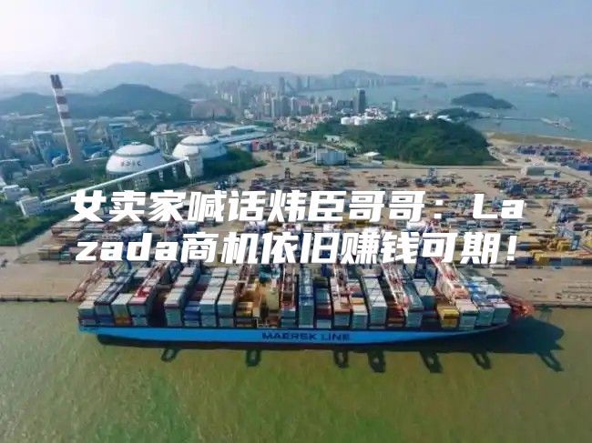 女卖家喊话炜臣哥哥：Lazada商机依旧赚钱可期！