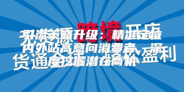 引流策略升级：精准定位内外站高意向消费者，深度挖掘潜在商机