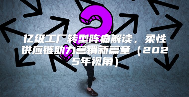 亿级工厂转型阵痛解读，柔性供应链助力营销新篇章2025年视角
