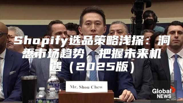 Shopify选品策略浅探：洞悉市场趋势，把握未来机遇2025版