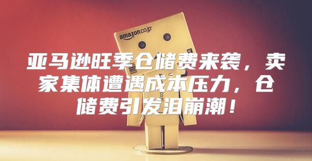 亚马逊旺季仓储费来袭，卖家集体遭遇成本压力，仓储费引发泪崩潮！