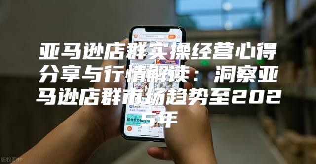 亚马逊店群实操经营心得分享与行情解读：洞察亚马逊店群市场趋势至2025年