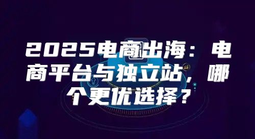 2025电商出海：电商平台与独立站，哪个更优选择？