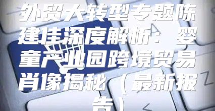 外贸大转型专题陈建佳深度解析：婴童产业园跨境贸易肖像揭秘最新报告