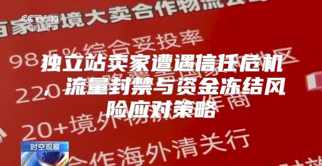 独立站卖家遭遇信任危机，流量封禁与资金冻结风险应对策略
