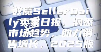 数魔SellerDaily卖家日报：洞悉市场趋势，助力销售增长，2025版