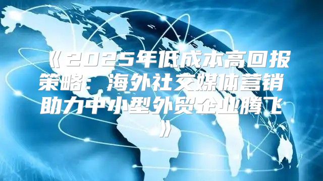 2025年低成本高回报策略：海外社交媒体营销助力中小型外贸企业腾飞