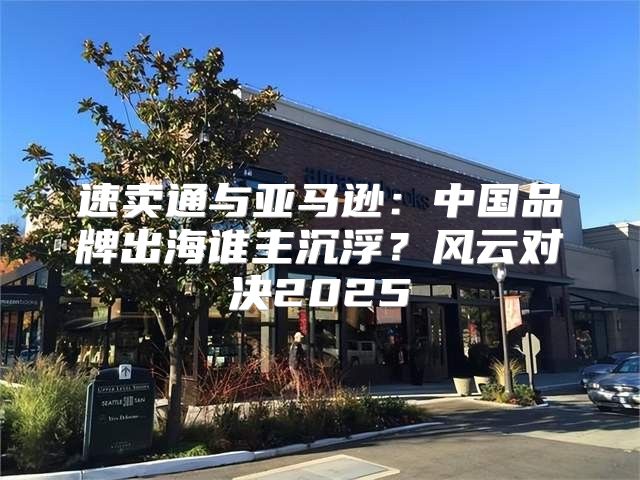 速卖通与亚马逊：中国品牌出海谁主沉浮？风云对决2025