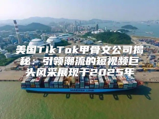 美国TikTok甲骨文公司揭秘：引领潮流的短视频巨头风采展现于2025年