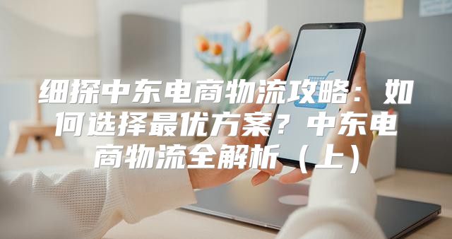细探中东电商物流攻略：如何选择最优方案？中东电商物流全解析上