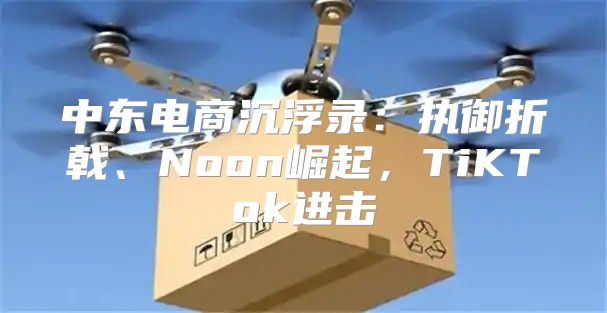 中东电商沉浮录：执御折戟、Noon崛起，TiKTok进击
