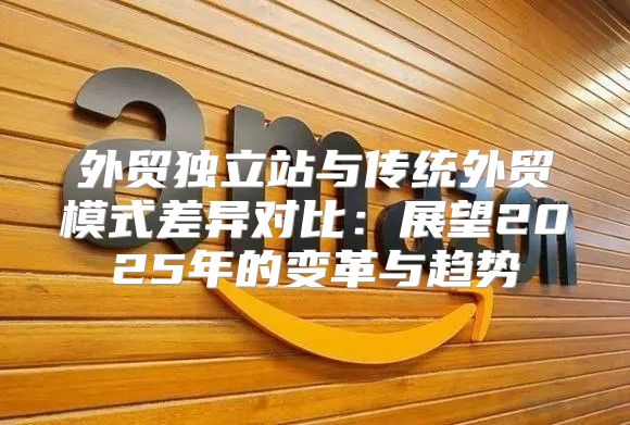 外贸独立站与传统外贸模式差异对比：展望2025年的变革与趋势