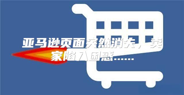 亚马逊页面突然消失，卖家陷入困惑......