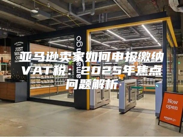 亚马逊卖家如何申报缴纳VAT税：2025年焦点问题解析