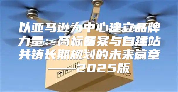以亚马逊为中心建立品牌力量：商标备案与自建站共铸长期规划的未来篇章——2025版
