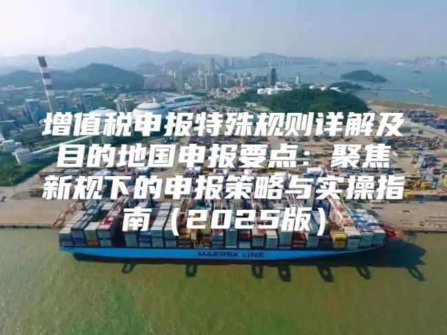 增值税申报特殊规则详解及目的地国申报要点：聚焦新规下的申报策略与实操指南2025版