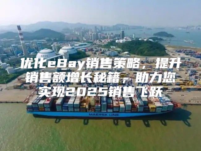 优化eBay销售策略，提升销售额增长秘籍，助力您实现2025销售飞跃