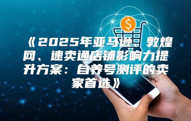 2025年亚马逊、敦煌网、速卖通店铺影响力提升方案：自养号测评的卖家首选
